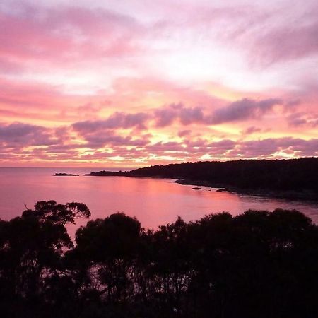The Loft @ Bay Of Fires Seascape Leilighet Binalong Bay Eksteriør bilde